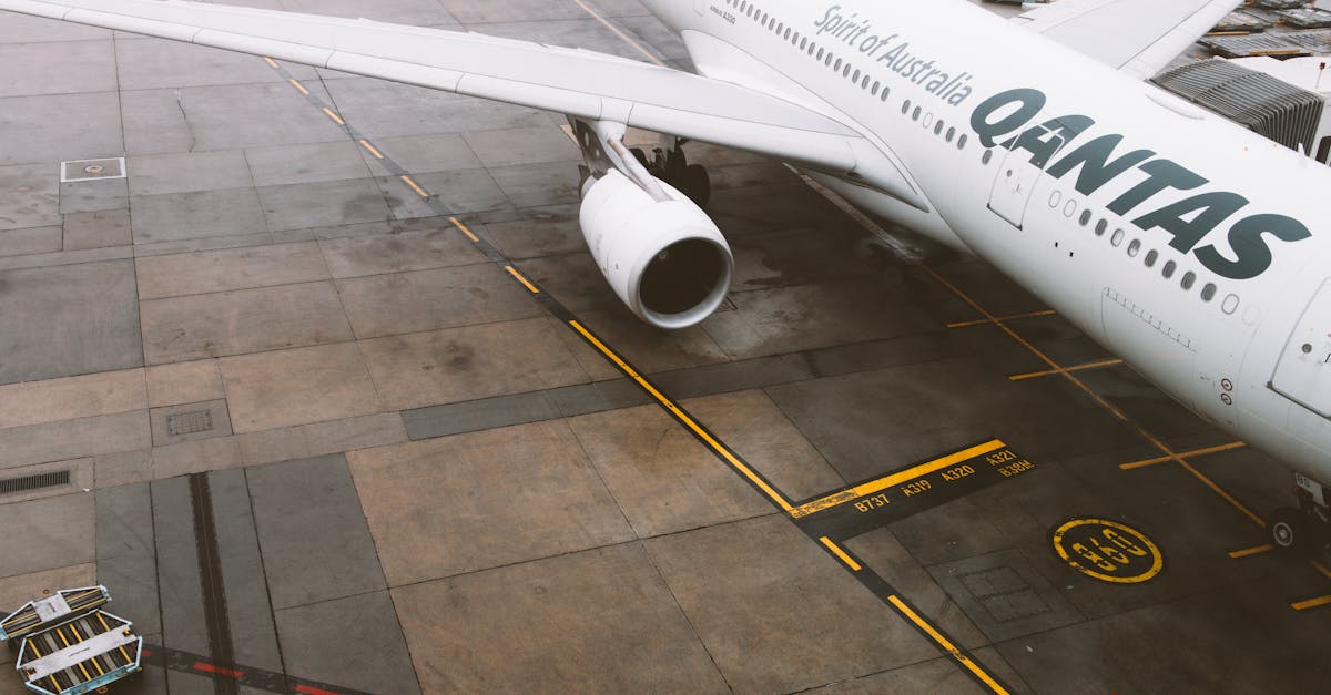 A Guide to Maintaining Timber Windows for Longevity