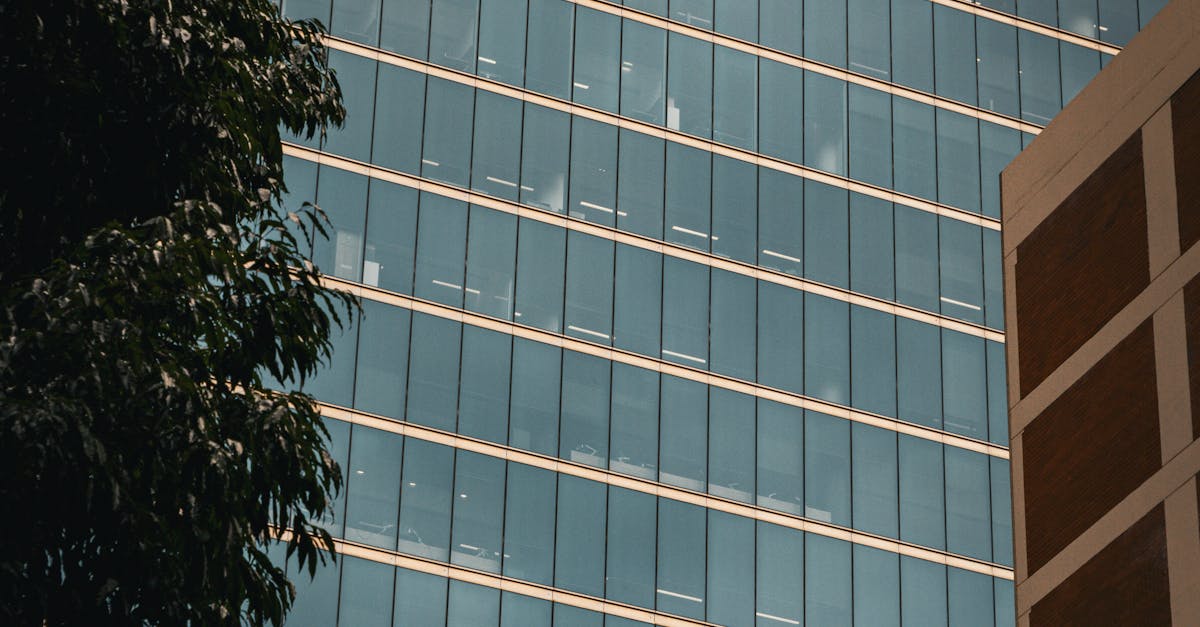 Addressing Common Myths About Timber Windows in Offices