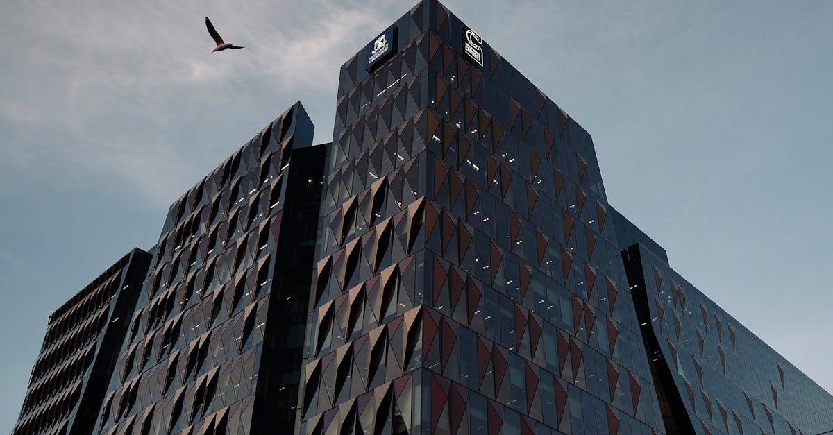 Eco-Friendly Features of Timber Windows for Commercial Use