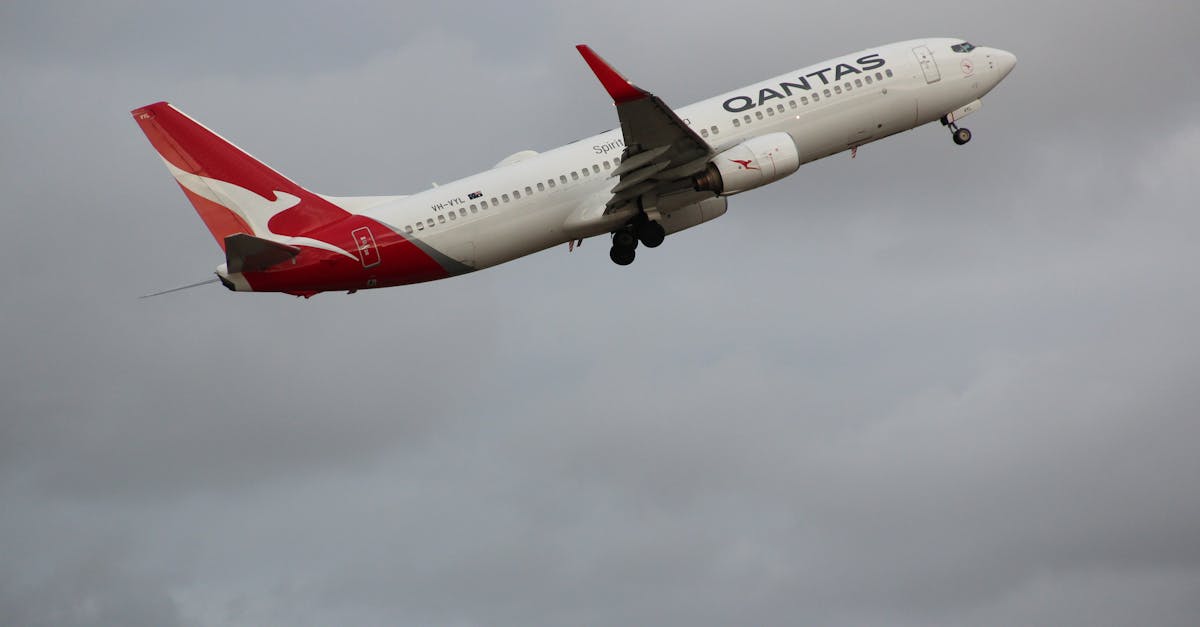 Evaluating the Reputation of Window Replacement Companies in Melbourne