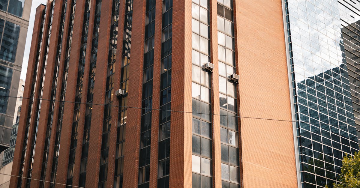 How Timber Windows Can Enhance Your Business Premises