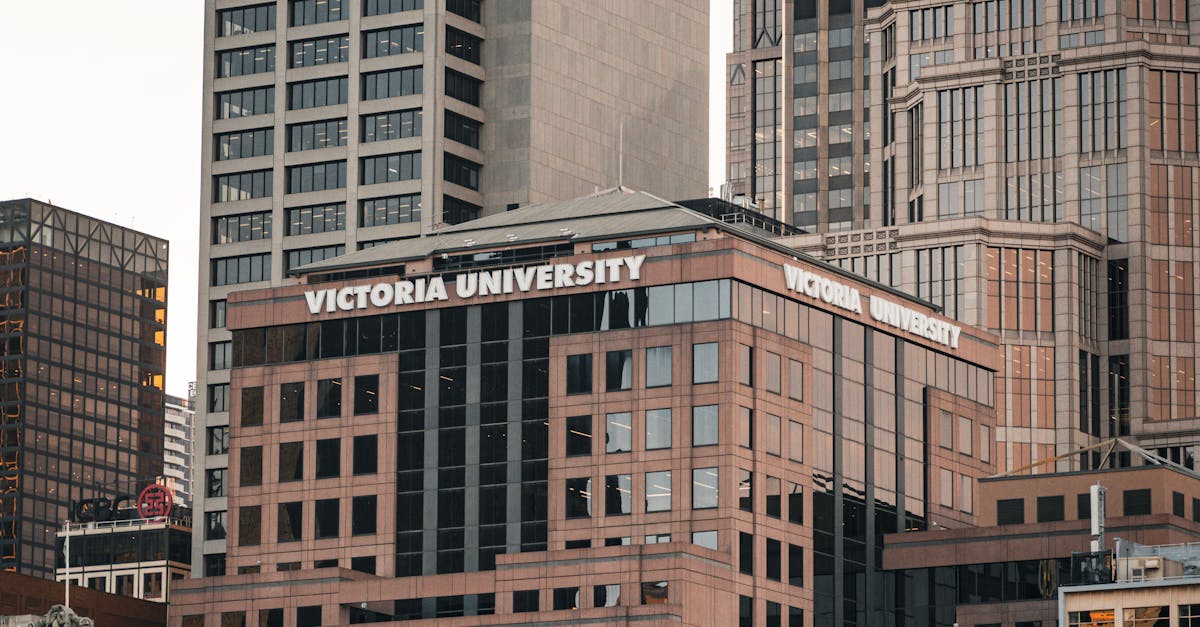 How to Calculate the Energy Efficiency of Replacement Windows