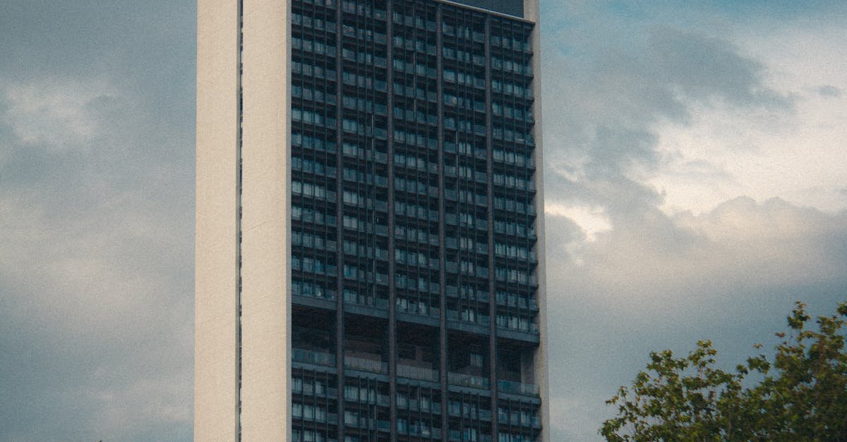 Innovative Window Designs That Boost Curb Appeal