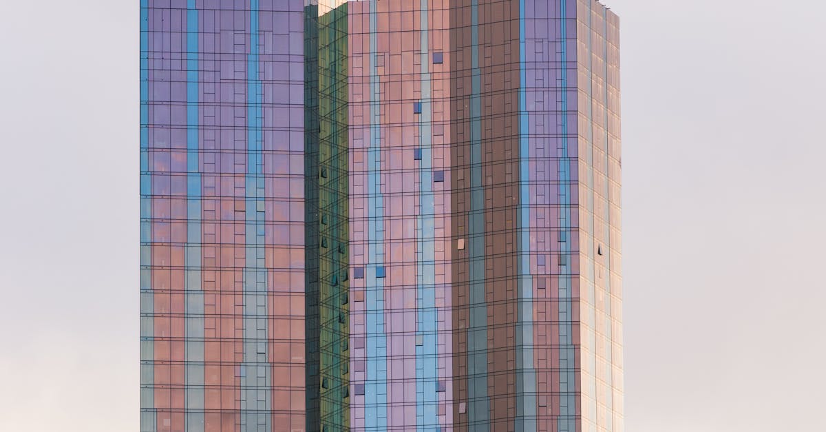 The Environmental Impact of Upgrading to Energy Efficient Windows